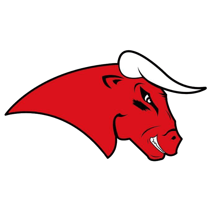 Coesfeld Bulls