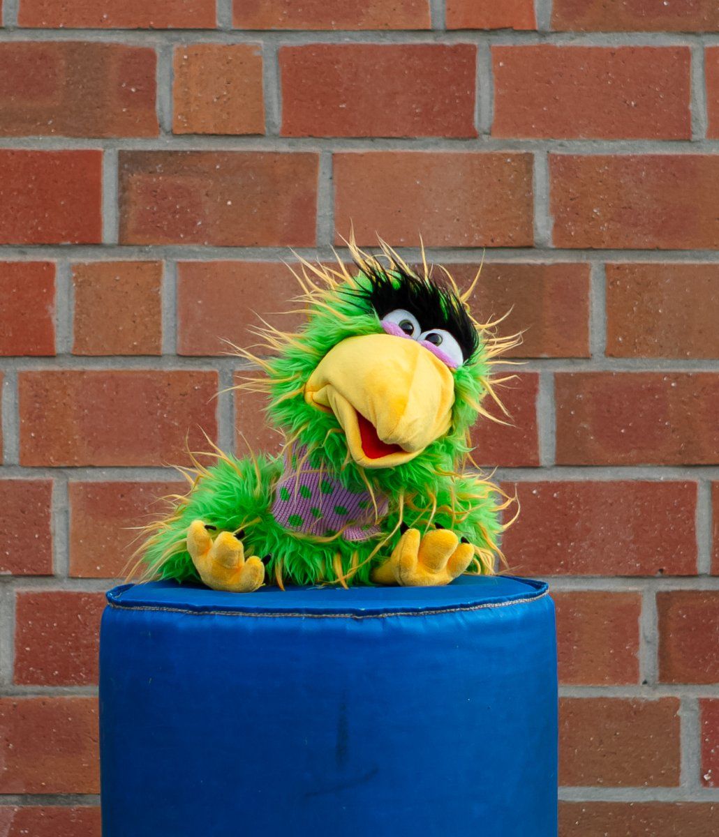 Head Coach Hawky